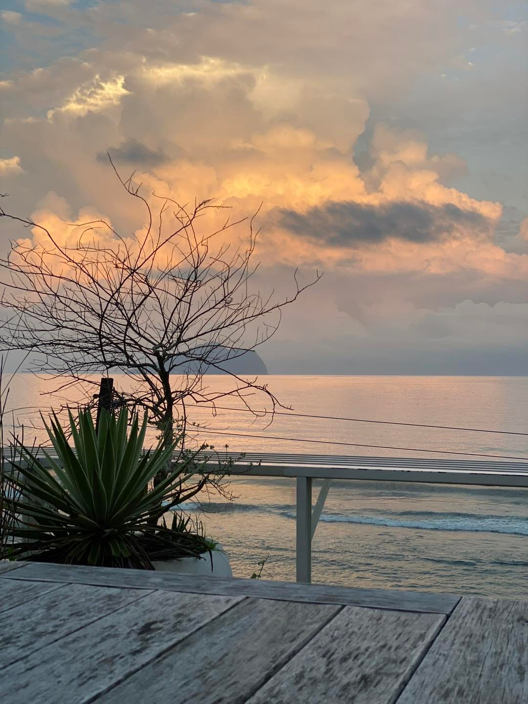 海景午茶